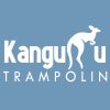 Kanguru Trampolin